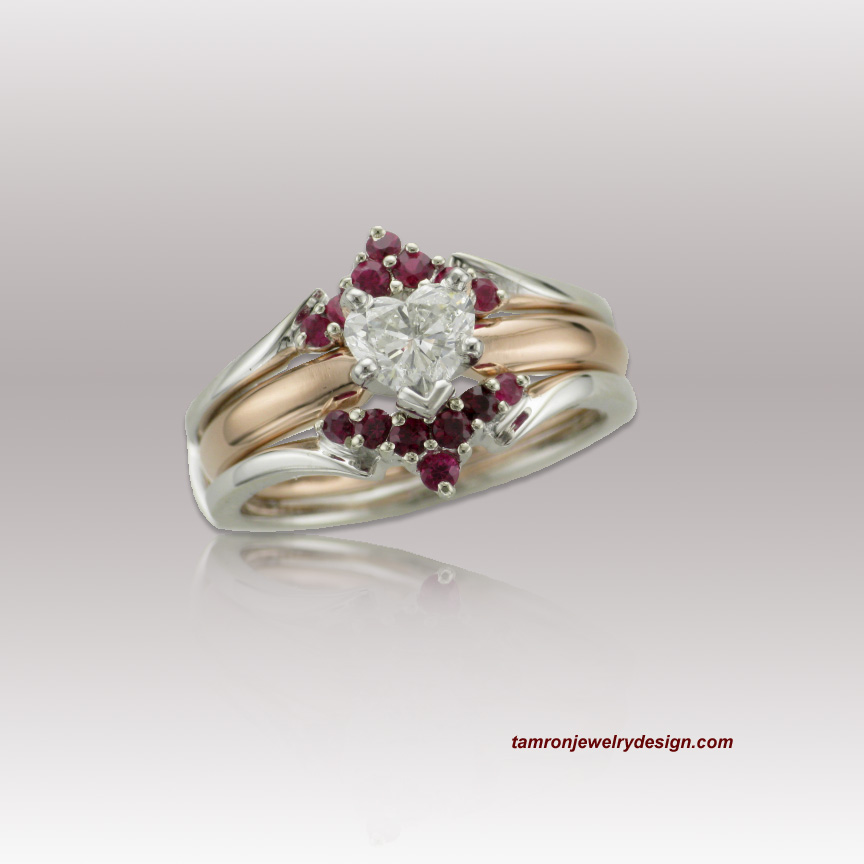 Schelley fin copy